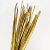 Buri 160 cm arany