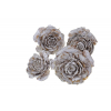 Cédrus rózsa fej 5-7cm zúzmarás (0015 3 202601900)