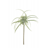 Dekorág tillandsia 53CM zöld