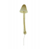 Gomba hab 4×15 cm barna