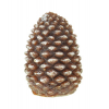 Gyertya toboz 6*8cm barna