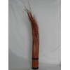 Isolepsis Autumn 105cm