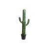 Kaktusz kaspóban 3ágas zöld