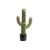 Kaktusz kaspóban 3ágas zöld/barna