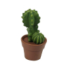 Figura kaktusz poly cserépben 4*8cm zöld