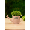 Kanna fém 10.5*H10.5cm nature felirattal púder