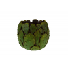 Kaspó kő kaktusz forma D17,5 H14 zöld