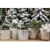 Kaspó kő szarvas+fenyőfa mintás 16*8.5*7cm ovális szürke