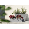 Kaspó műanyag Begonia 19*56cm beton szürke Lamela