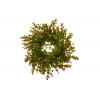 Selyemvirág koszorú buxus 28cm barna