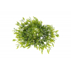 Koszorú selyemvirág caryopteris D21 zöld