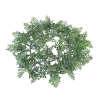 Koszorú selyemvirág páfrány D18 zöld