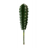 Selyemvirág kaktusz 23*5cm zöld