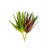 Műnövény pozsgás Aloe 25cm 2 szín
