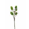 Pick 21cm fehér bogyós zöld