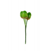 Pick 3 makk 8cm zöld