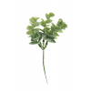 Pick ág eukaliptus 23CM bogyókkal zöld/fehér