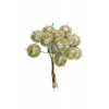 Pick alma 11cm s/12 arany