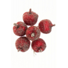 Pick alma 12cm s/6 cukros piros