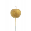 Pick alma hab D3.5cm arany