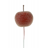 Pick alma hab D5.5cm piros