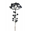 Pick bogyós ág 35cm fekete