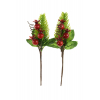 Pick bogyós ág levelekkel 14cm piros