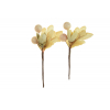 Pick bogyós ág levelekkel 15cm s/2 krém