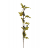 Pick bogyós ág levéllel 42cm barna