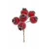 Pick csipkebogyó 12cm s/6 jeges piros