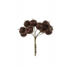 Pick csokros alma 10CM kicsi barna