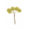 Pick csokros alma 11CM nagy cukros sárga