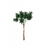 Pick csokros bogyó 10CM kicsi s.zöld