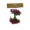 Pick dekoráció hungarocell 10cm s/24 bordó