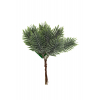 Pick fenyő ág 14cm zöld