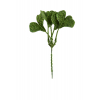 Pick levelek 22CM zöld