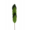 Pick leveles ág bársony 55cm zöld