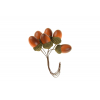 Pick makk 1.5*2.5cm s/6 narancs
