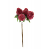 Pick málna 10cm 6szem piros