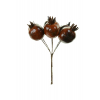 Pick naspolya 13,5cm 6fej barna