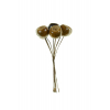 Pick naspolya sima 12cm 8fej barna