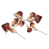 Pick gomba többféle s/24 barna