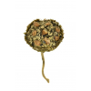 Protea fű/termés D5*15cm natúr Zmrst