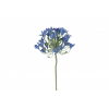 Selyemvirág agapanthus 90cm kék