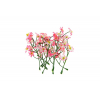 Selyemvirág apró virágos 9cm s/24 fehér/rózsaszín