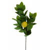 Selyemvirág citromfa ág 65cm zöld/sárga