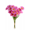 Selyemvirág csokor százszorszép 6fej 32cm pink
