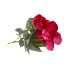 Selyemvirág csokor tearózsa 5fej 30CM pink
