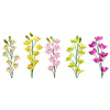 Selyemvirág cymbidium 1szál 8virág több szín