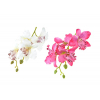 Selyemvirág cymbidium fej 18cm több szín DB!